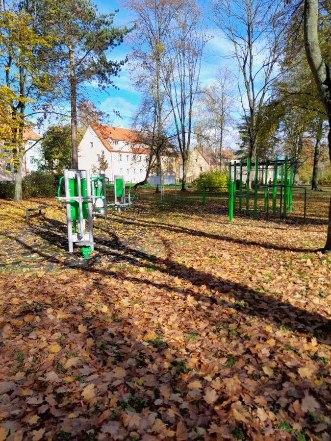 Riegerovka Appartement Cheb Buitenkant foto