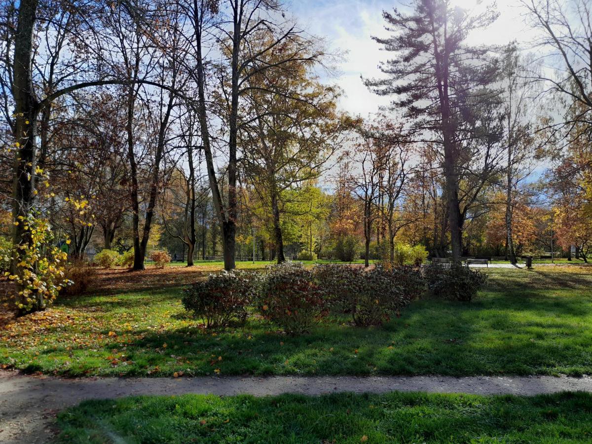 Riegerovka Appartement Cheb Buitenkant foto