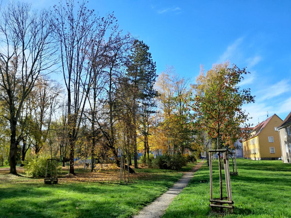Riegerovka Appartement Cheb Buitenkant foto