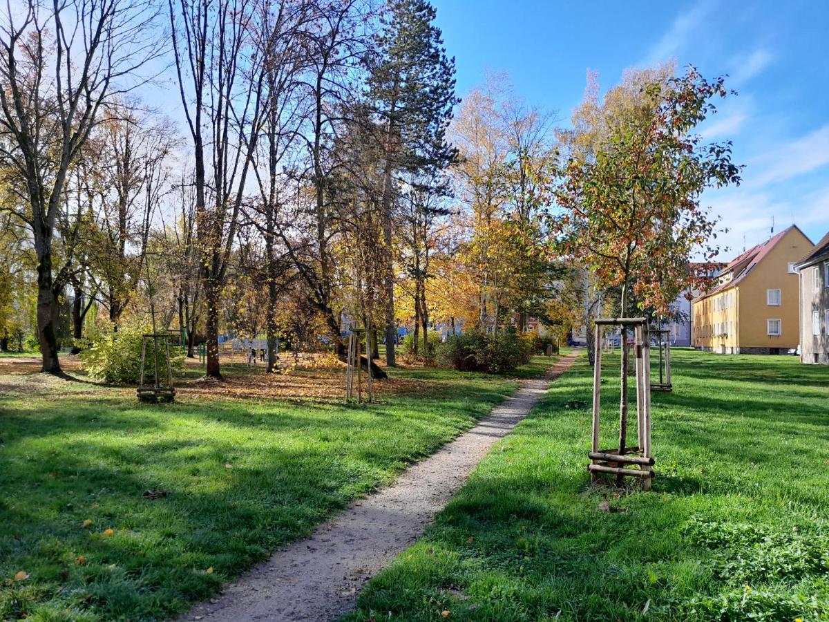 Riegerovka Appartement Cheb Buitenkant foto