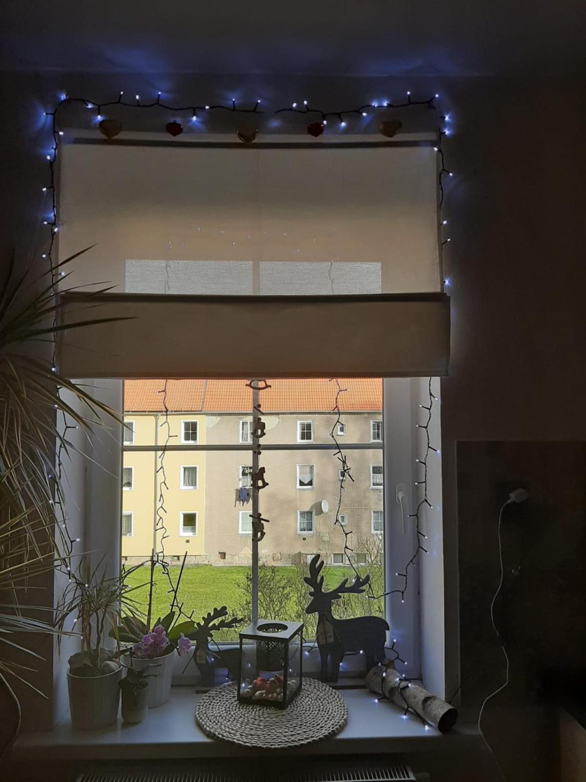 Riegerovka Appartement Cheb Buitenkant foto