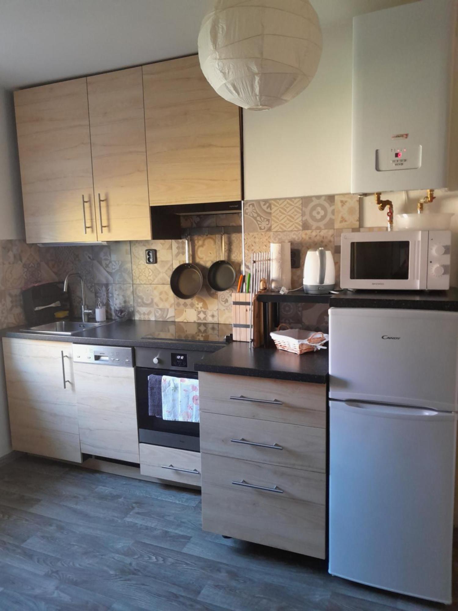 Riegerovka Appartement Cheb Buitenkant foto